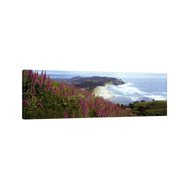 Coastal Landscape With Foxgloves In The Foreground As Seen From Cascade Head, Tillamook County, Oregon, USA - Wrapped Canvas Panoramic Print