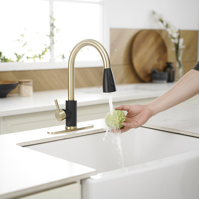 Robinet de cuisine à une poignée et douchette extractible avec conduites d'alimentation en noir mat, Noir mat / or brossé