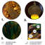 Décoration murale Higden Emerald Queen-264653973