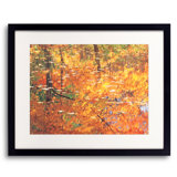 Autumn Reflection In Pond Print
