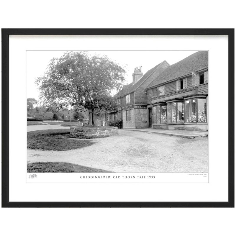 Chiddingfold, Old Thorn Tree 1933 by Francis Frith - Single Picture Frame Print, 28cm H x 36cm W x 2.3cm D
