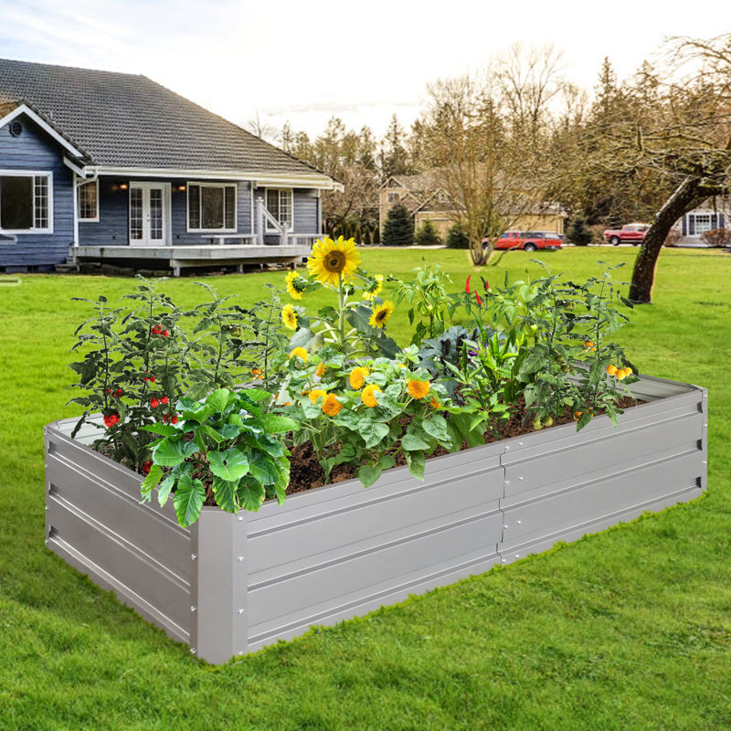Lit de jardin en métal 6 pi 3 po x 1 pi, gris - Jardinière d'extérieur pour plantes, légumes et plantes, Gris, 1