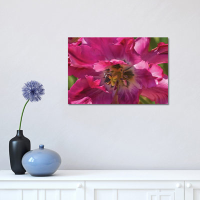 Fancy Tulip 1 Piece Wrapped Canvas Wall Art