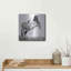 «BandW Horses I» par PH Burchett-2092589225