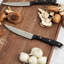 Ensemble de couteaux de cuisine 15 pièces-109384288