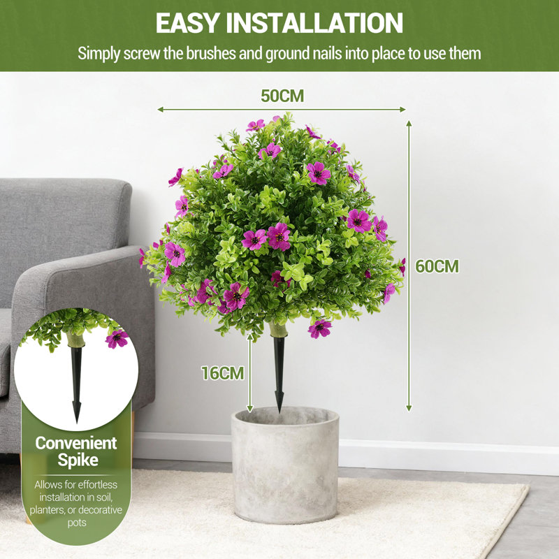 60cm Plant