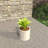 Tarneshia Round Handmade Fiberstone Planter – MGO Clay Plant Pot with Drainage Holes for Indoor & Outdoor Use-1751541032-1751541046