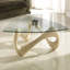 Barbosa Abstract Coffee Table