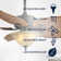 Emmabeth 52'' Ceiling Fan with Light Kit