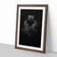 Black Panther in the Shadows in Abstract - Picture Frame Graphic Art Print on MDF-55686346-55686350