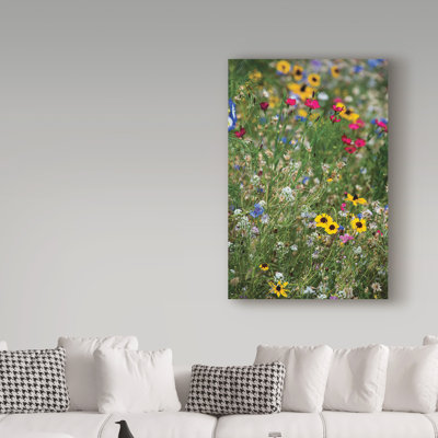 Cattima «Summer Wildflower Garden», reproduction de photo sur toile tendue