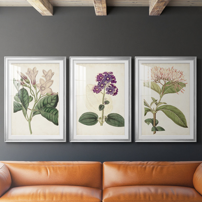Antique Botanical Collection, Argent argent, H 19 po x l 27 po