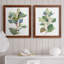 «Seeded Eucalyptus I», ensemble de 2 reproductions d'art sur toile-1047157793-1047157804