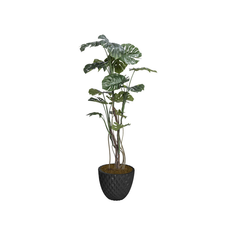 76,6 po Faux plante Monstera en pot
