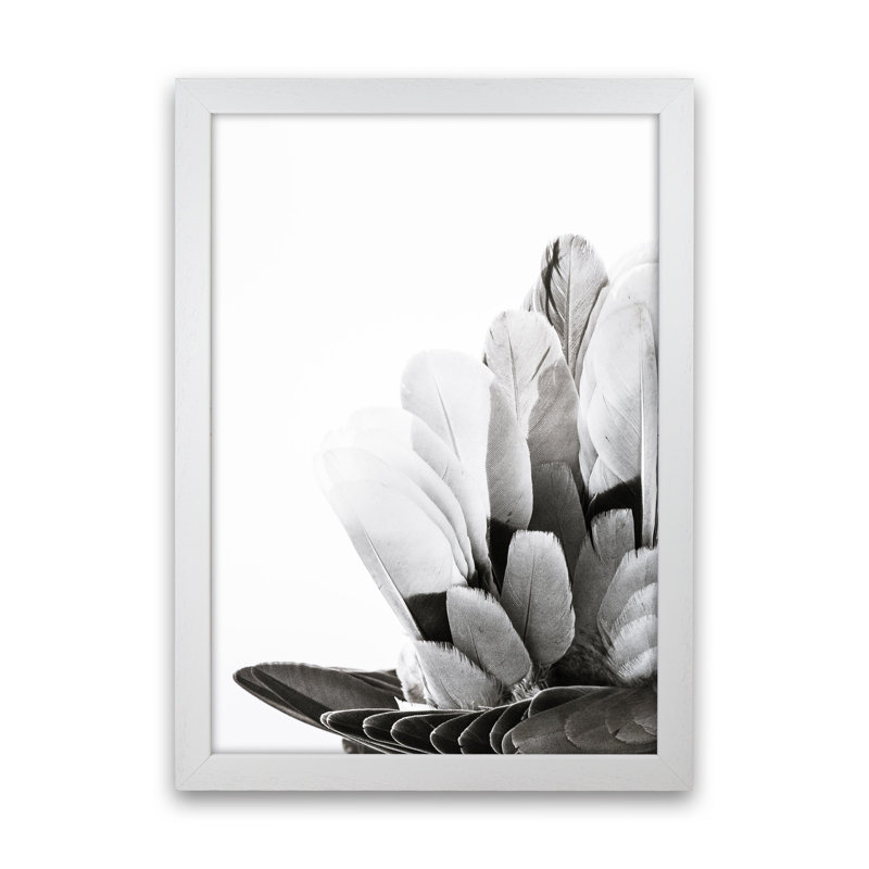 Feathers by Victoria Frost - Print, White Framed, 34cm H x 25cm W x 3cm D