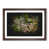 Walnut Framed