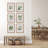Classic Flower and Leaf Study Prints