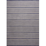 Striped Area Rug in Blue/Gray
