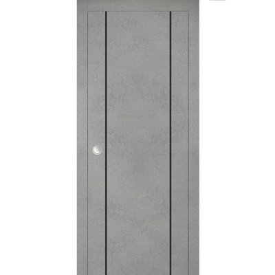 Porte coulissante avec kit de finitions en béton Planum 0017, quincaillerie et rails en bois massif pour chambre à coucher, portes robustes - 42 po x 84 po