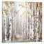 Sunset Birch Forest III by Eva Watts - Painting on Canvas-56675513-41186411