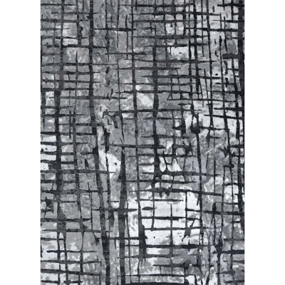 Windsom Abstract Area Rug in Sliver/Charcoal