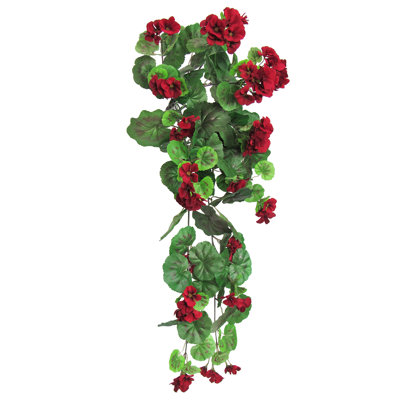 Buisson de géranium suspendu