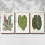 Ensemble de 3 cadres flottants sur toile-11696099-11696100