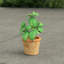 Artificial Basil in Aged Terracotta Pot-14910769