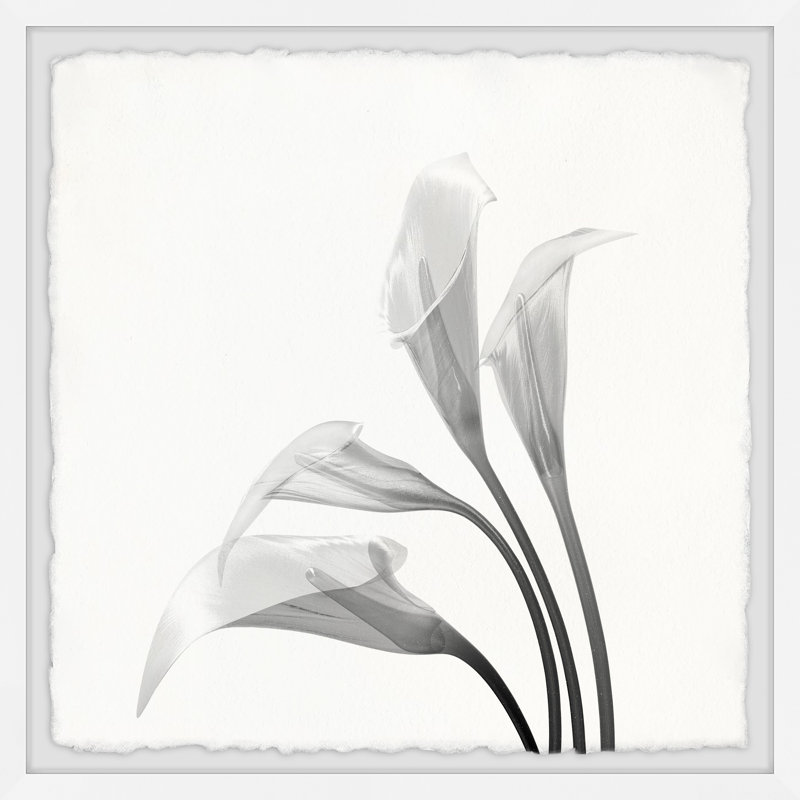 Flower From the Sky 1 Piece Single Picture Frame Painting, 81cm H x 81cm W x 3.81cm D