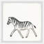 Charlie 'Walking Zebra' Framed Print-537729710
