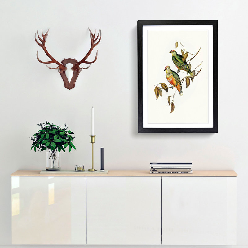 Ewing's Fruit Pigeons by Elizabeth Gould - Picture Frame Painting Print, 65cm H x 48cm W x 2cm D, Black Framed