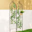 Ekene 180.1Cm H x 49.5Cm W Metal Lattice Panel Trellis