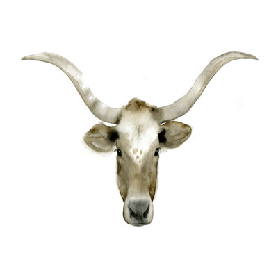 Longhorn Steer II