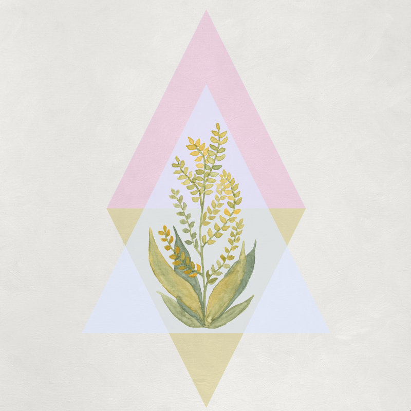«Botanical Vibes» par Viviana Gonzalez - reproduction, H 36 po x l 36 po, Cadre photo noyer, Non