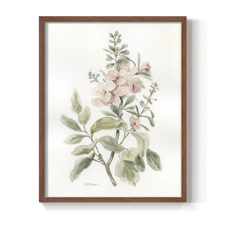 «Flea Market Botanical II», reproduction encadrée - bois massif, H 21 po x l 17 po, Noyer
