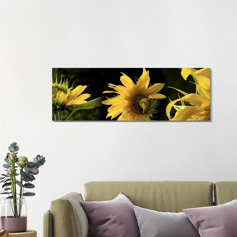 Sunflowers - Wrapped Canvas Panoramic Print, 121.92 cm H x 40.64 cm W x 3.175 cm D