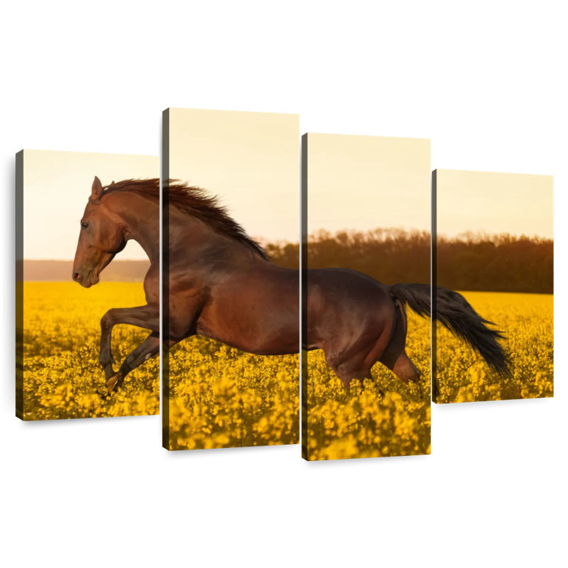 Brampt Horse In Flower Field, 48'' H x 75'' W