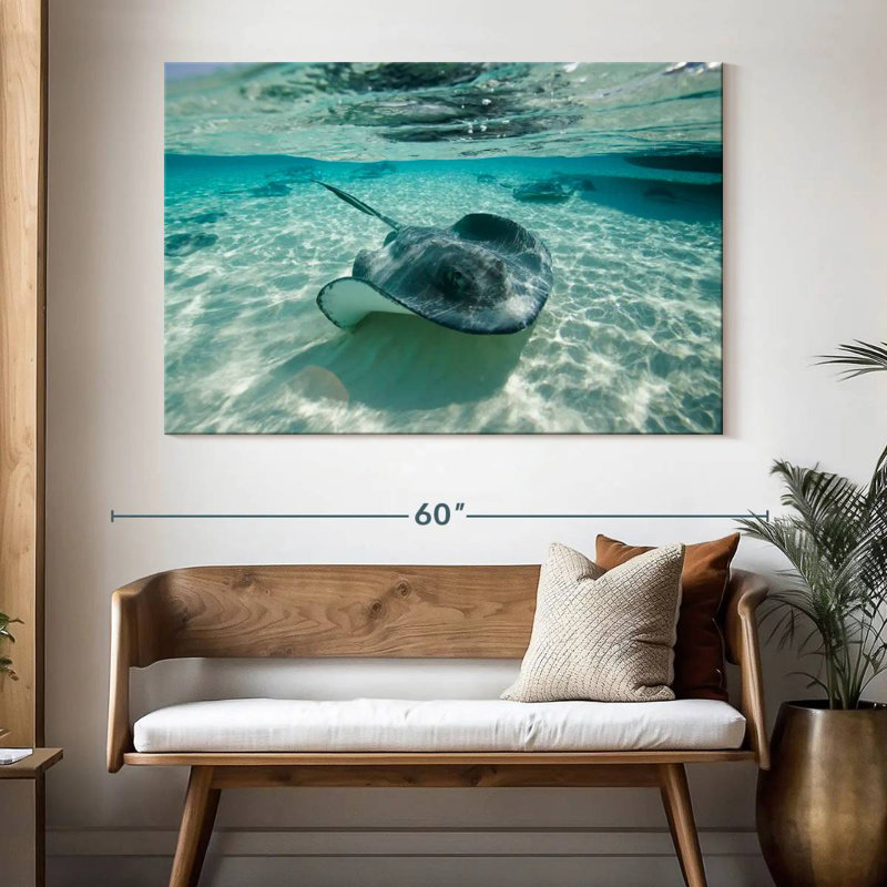 Stingrays sous l'eau sous l'eau, H 34 po x l 51 po