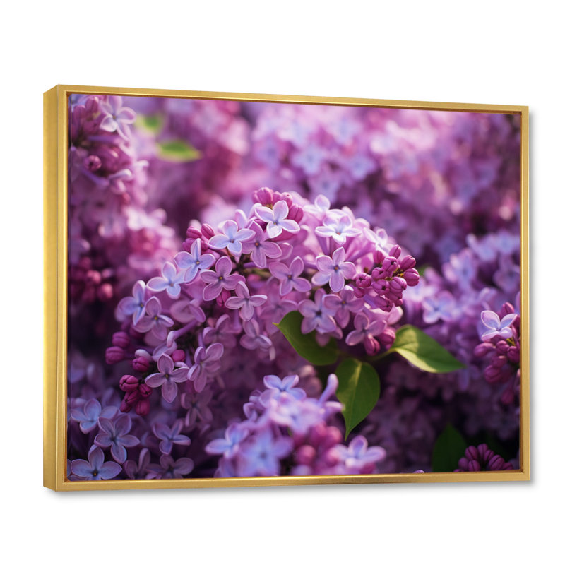 «Lilac mauve», impression sur toile, H 34 po x l 44 po x P 1,5 po, Toile dorée