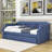 Cafaro Twin Size Upholstered Daybed with Twin Size Trundle-551820134