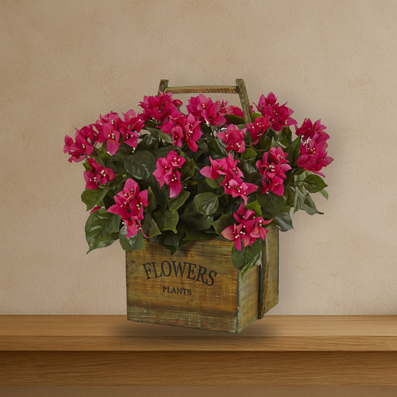 Jardinière Bougainvillea