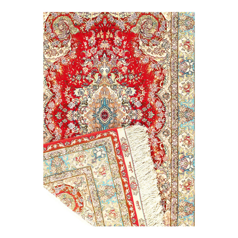 Mehronisha Oriental Area Rug in Red