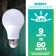 60-Watt Equivalent A19 Dimmable LED Light Bulb, 5000K Daylight, 8-pack