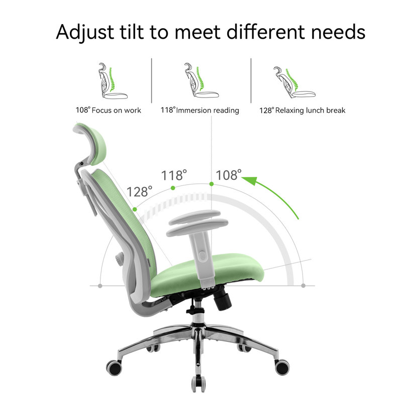 Ashendon Ergonomic Mesh Office Chair with Adjustable Lumbar Support and Padded Armrests for 300lbs, Green