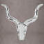 Animals Wall Decor-42615206