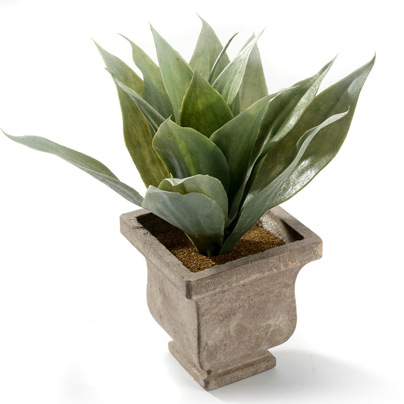 Plante succulente artificielle en pot 7,4 po