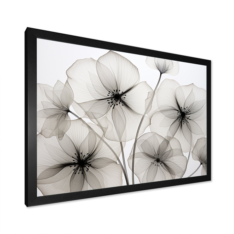 «Black and White Morning Glory Speed - Morning Glory», reproduction d'art sur toile, Cadre simple noir