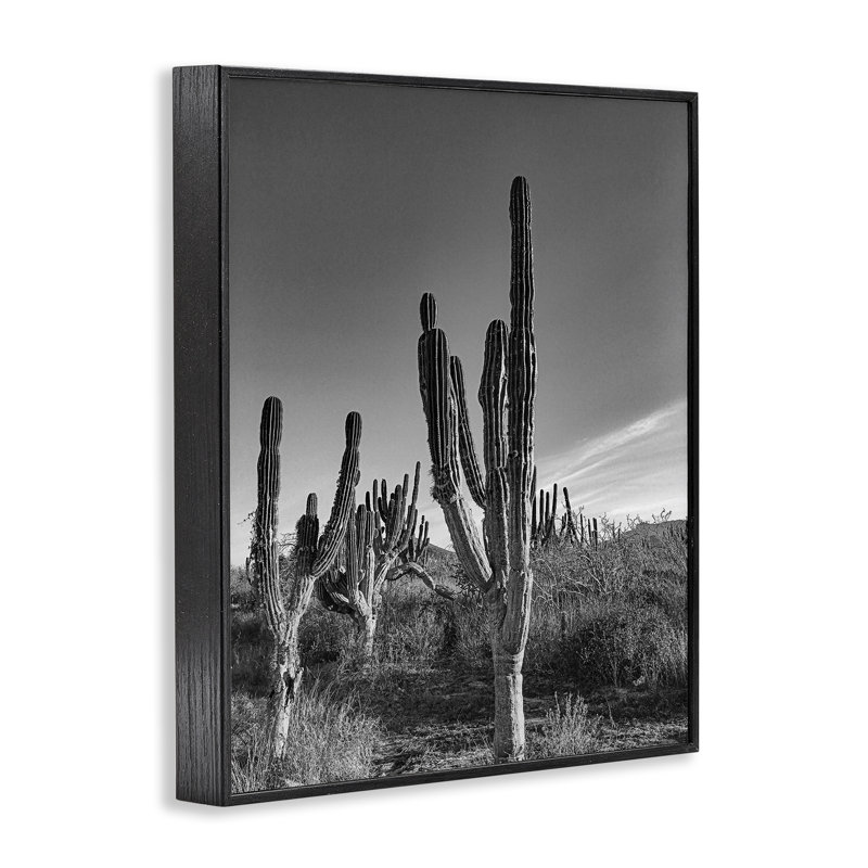 Giclée encadrée Cactus Field & Vast Sky, design par Norm Stelfox, H 14 po x l 11 po, Giclée encadrée noir minuit