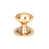 Polished Bronze