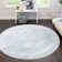 Massie Oriental Indoor Rug